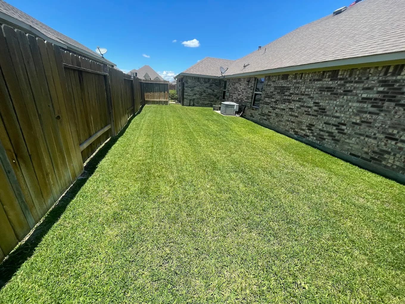 Freshly mowed backyard lawn with stripes