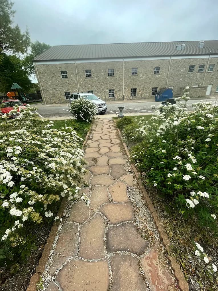 Stone pathway with flowering border plants